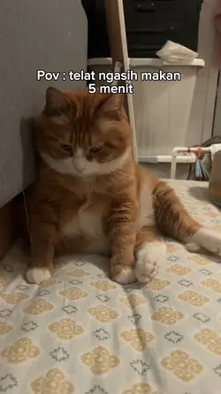 Kata-kata kucing
