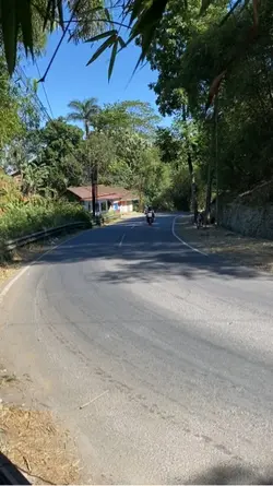 Sunmori cijapati