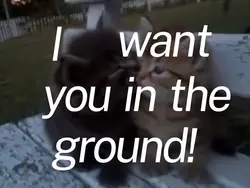BANG BANG BANG