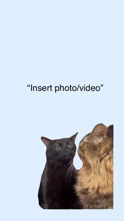 Black cat zoning out