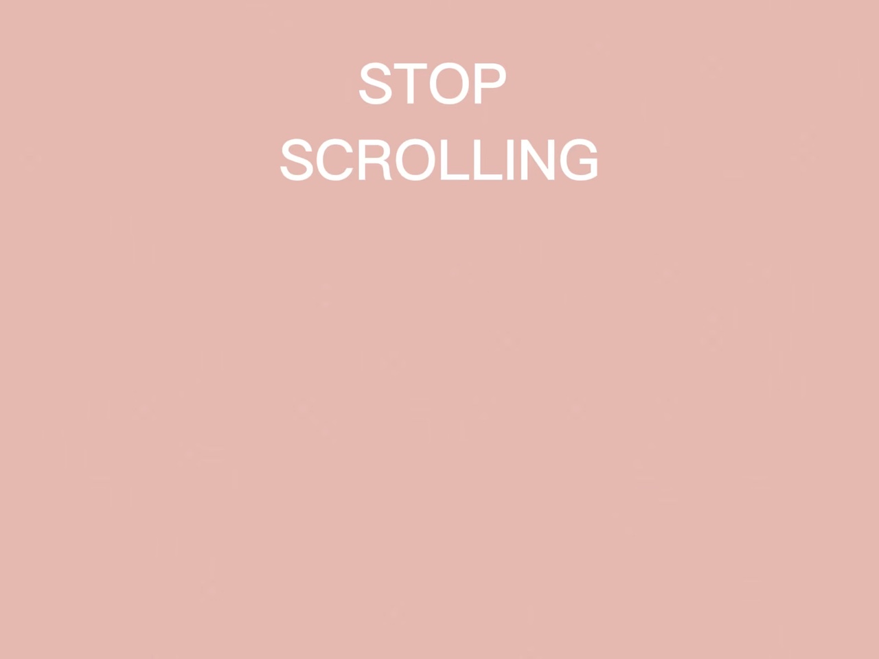 FOLLOW THEM NOW