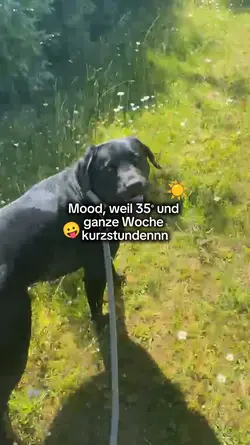 Endlich sommerrrrr