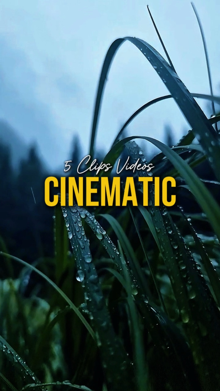 Cinematic 5 Videos 
