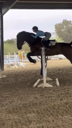 Horse edit template🩵