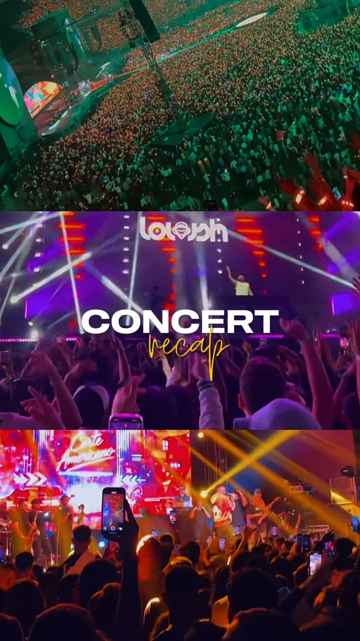 RESUMEN DEL CONCIERTO 