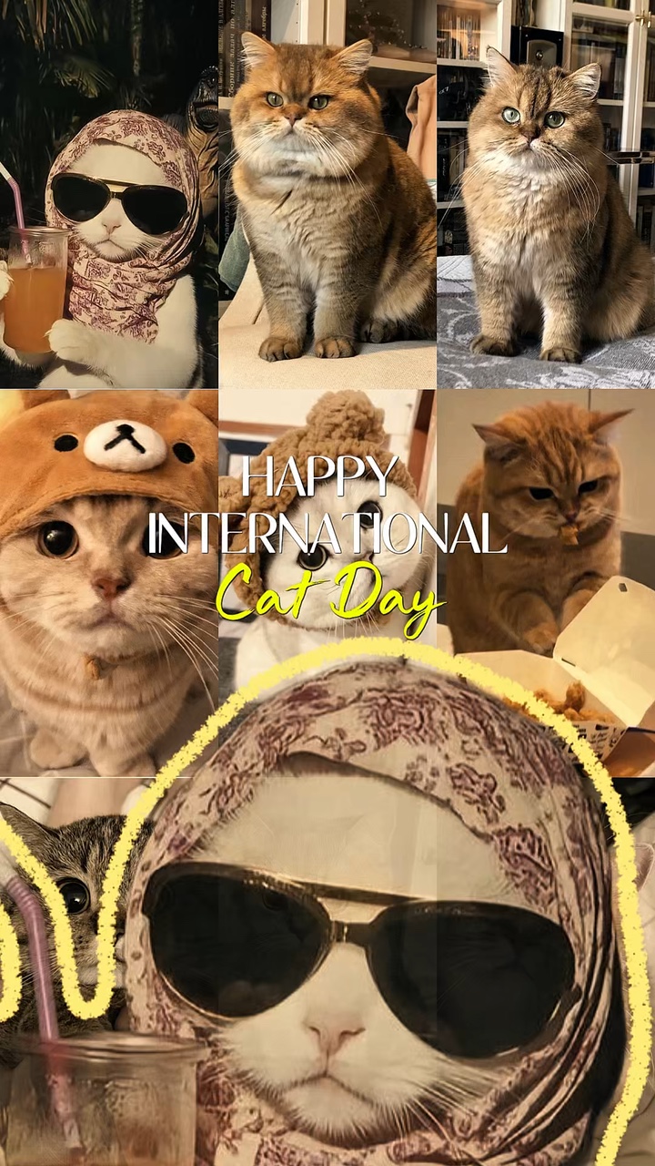 International Cat
