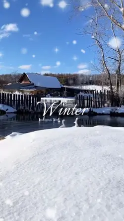 Winter