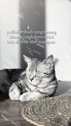 bahan story