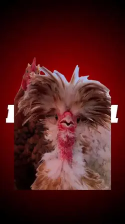 Goat Trending Edit