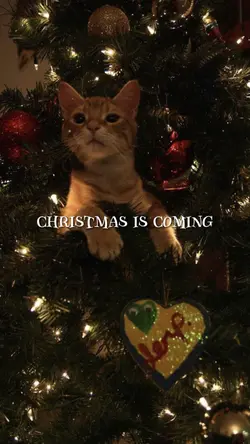 2 ẢNH NHẸ NHÀNG