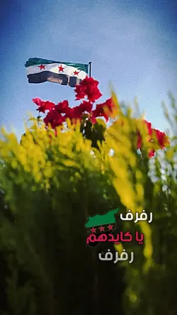 رفرف يا كايدهم 