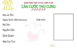 c căn cước thú cưng 