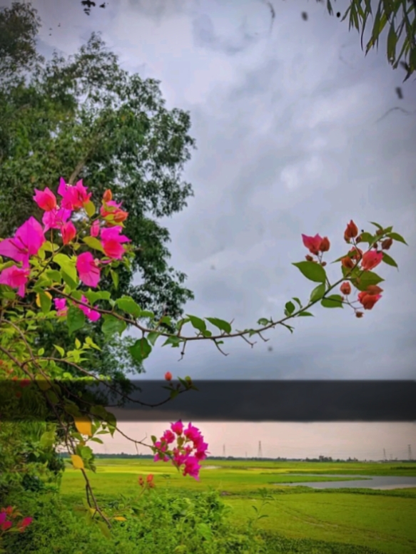 ইসলামিক ভিডিও 
