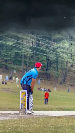 Cricket shot