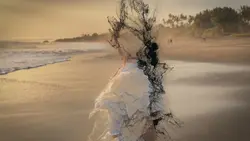 SLOWMO WATCH TREND