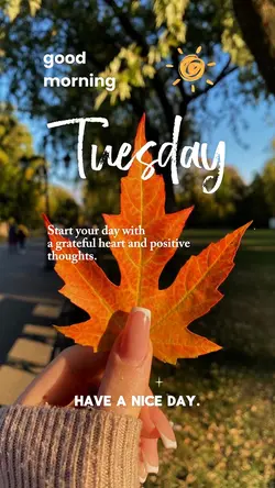 Tuesday Morning 🌞