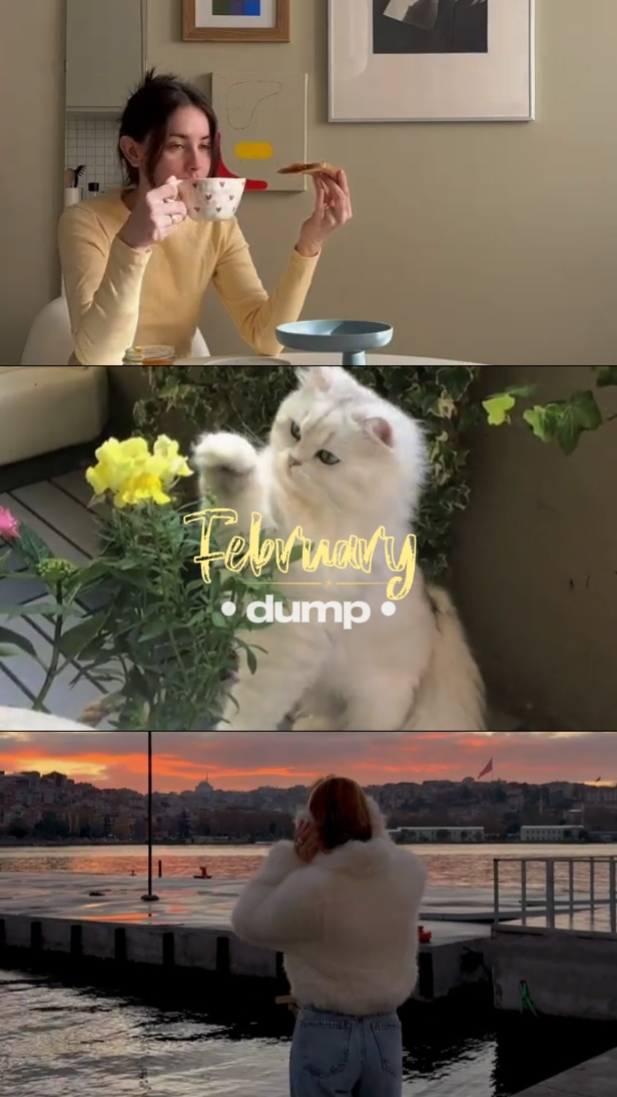 February dump 