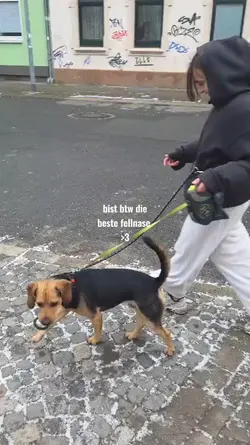 Lieb dich doch tigga