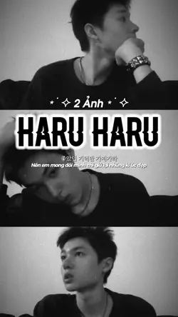 HARU HARU - MARTIN