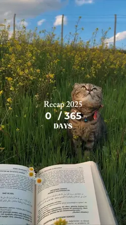 Recap 365 days