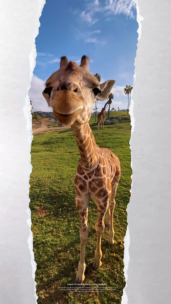 Zoo
