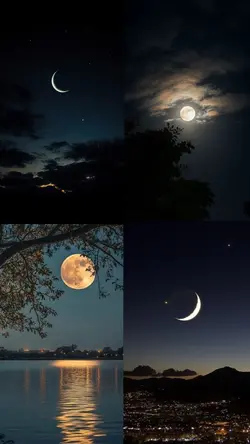 Moon collage 
