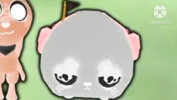 COAL HATE G MAJOR 74