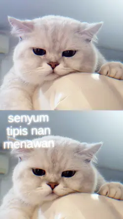 TREND NIHH