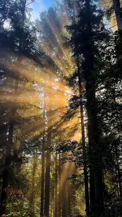 Relaxing sound