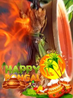 Happy Pongal 