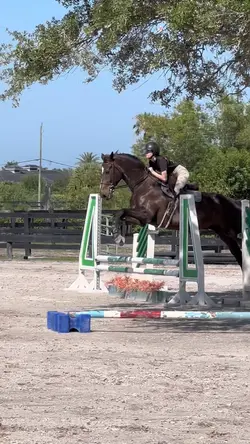 ok zandyy ⚠️FAKE⚠️