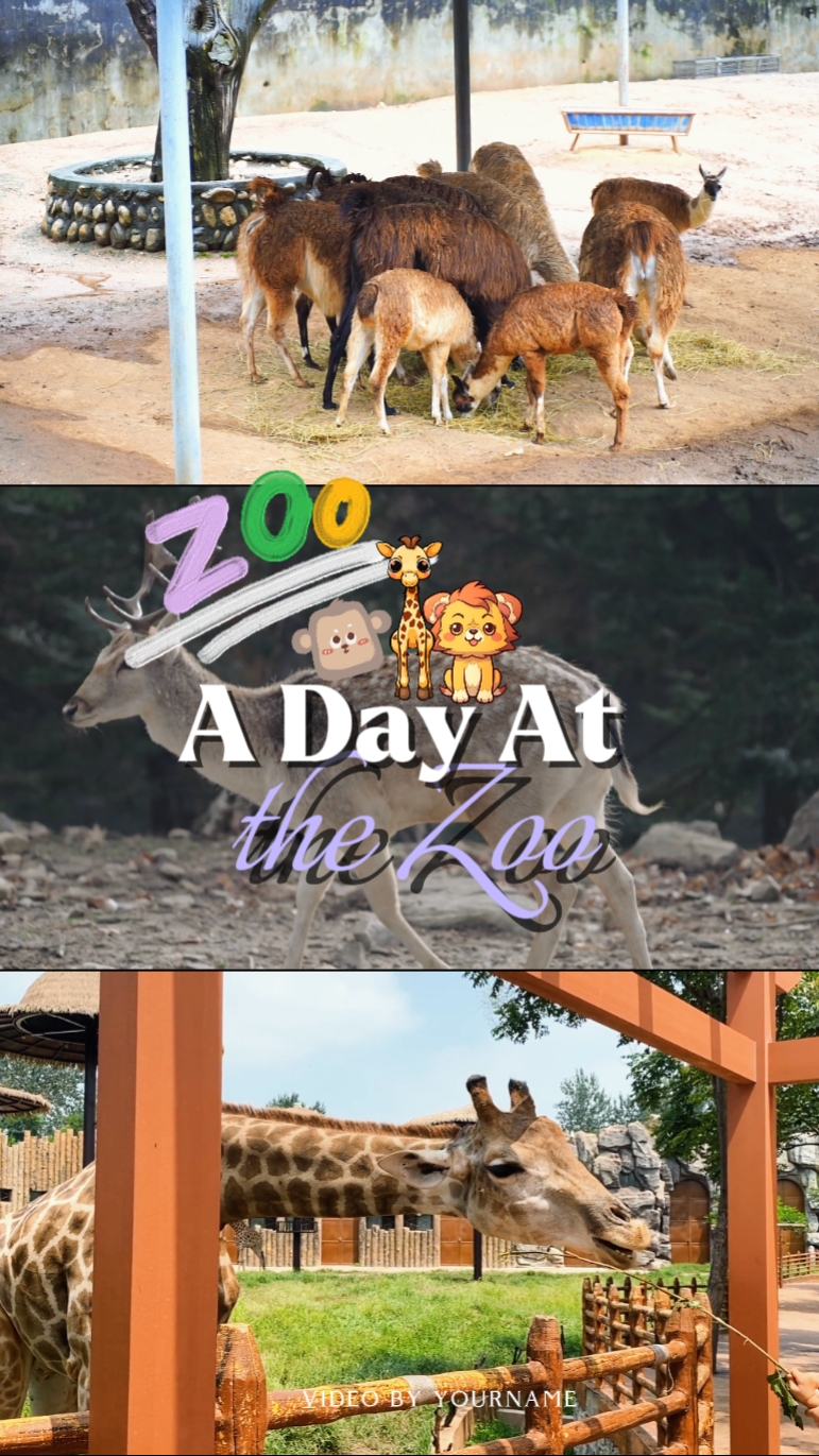 Un día en el zoológico