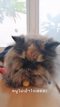 แม่ก็ปลุกอยู่นั่น