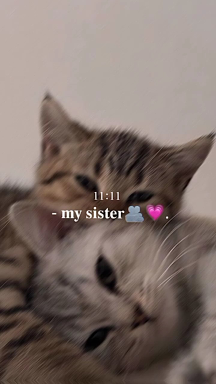 قوالب من طلبكم