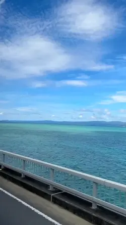 情深似海