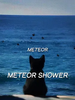 Meteor Shower 