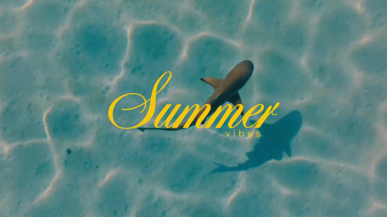 Summer vibes