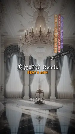 美麗謊言 Remix