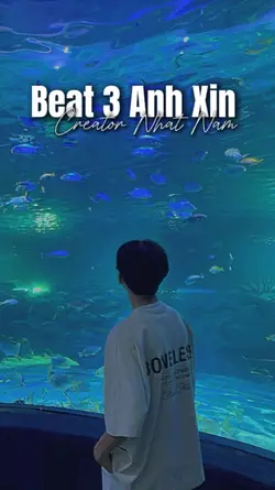 Beat 3 แบขnh Xแปn
