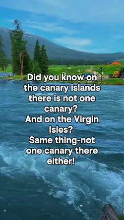 Did you know on the