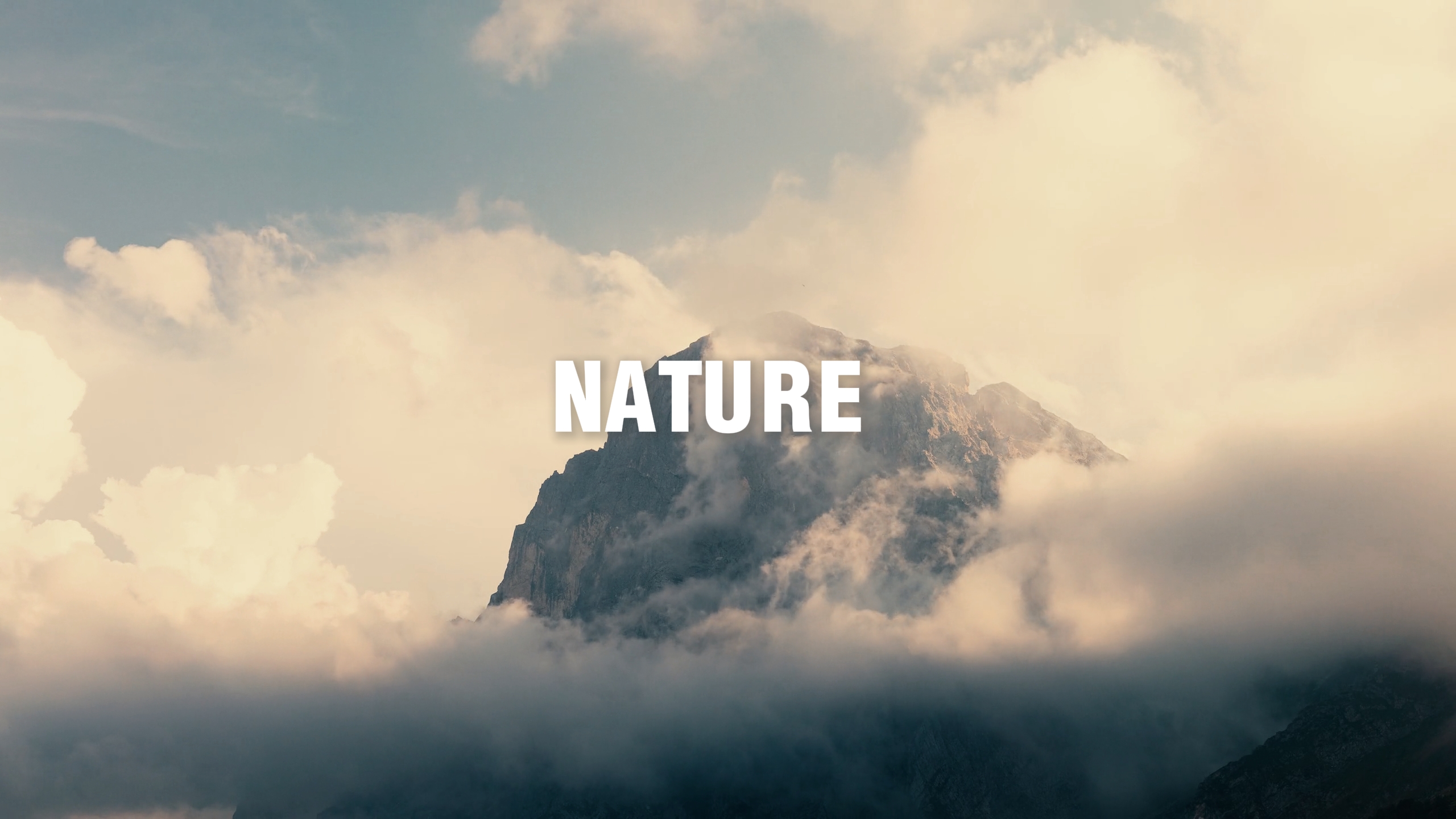 NATURE