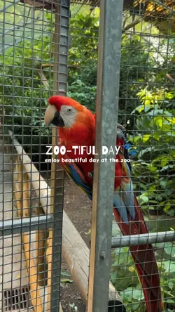 zoo-tiful day