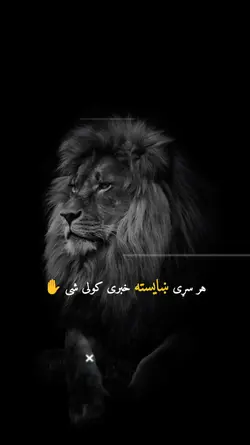Pashto Lines Text