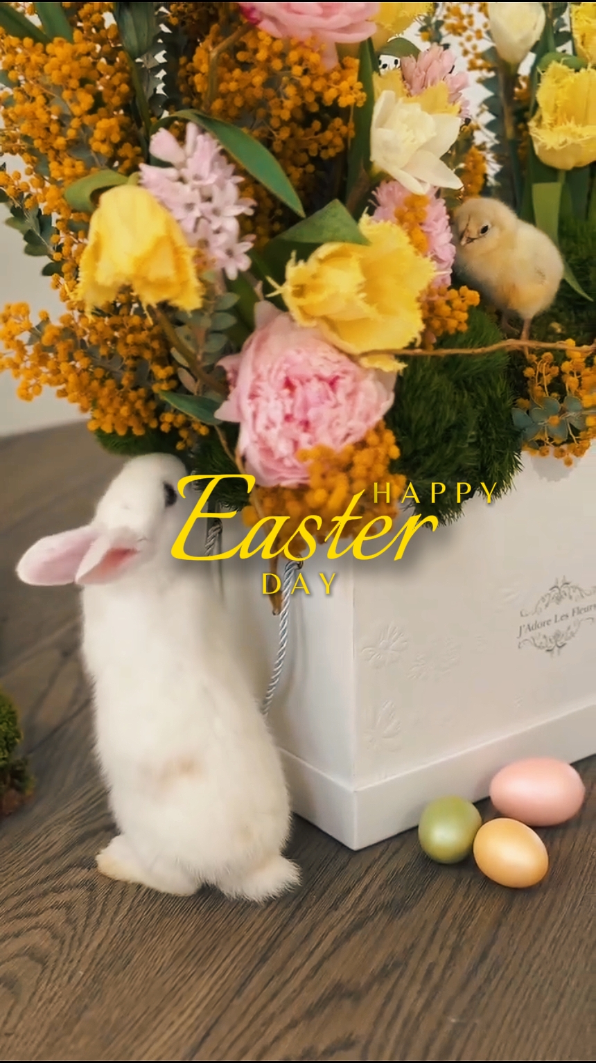 Día de Pascua 2026