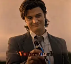 Free Steve edit