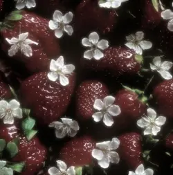 --𝑺trawberry ᝰ.ᐟּ