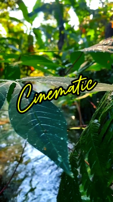 Nature Cinematic 