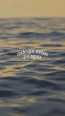 frase curvada ✨