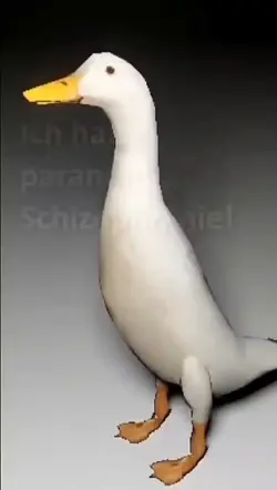 duck
