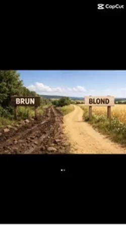 Brun ou blond ? 